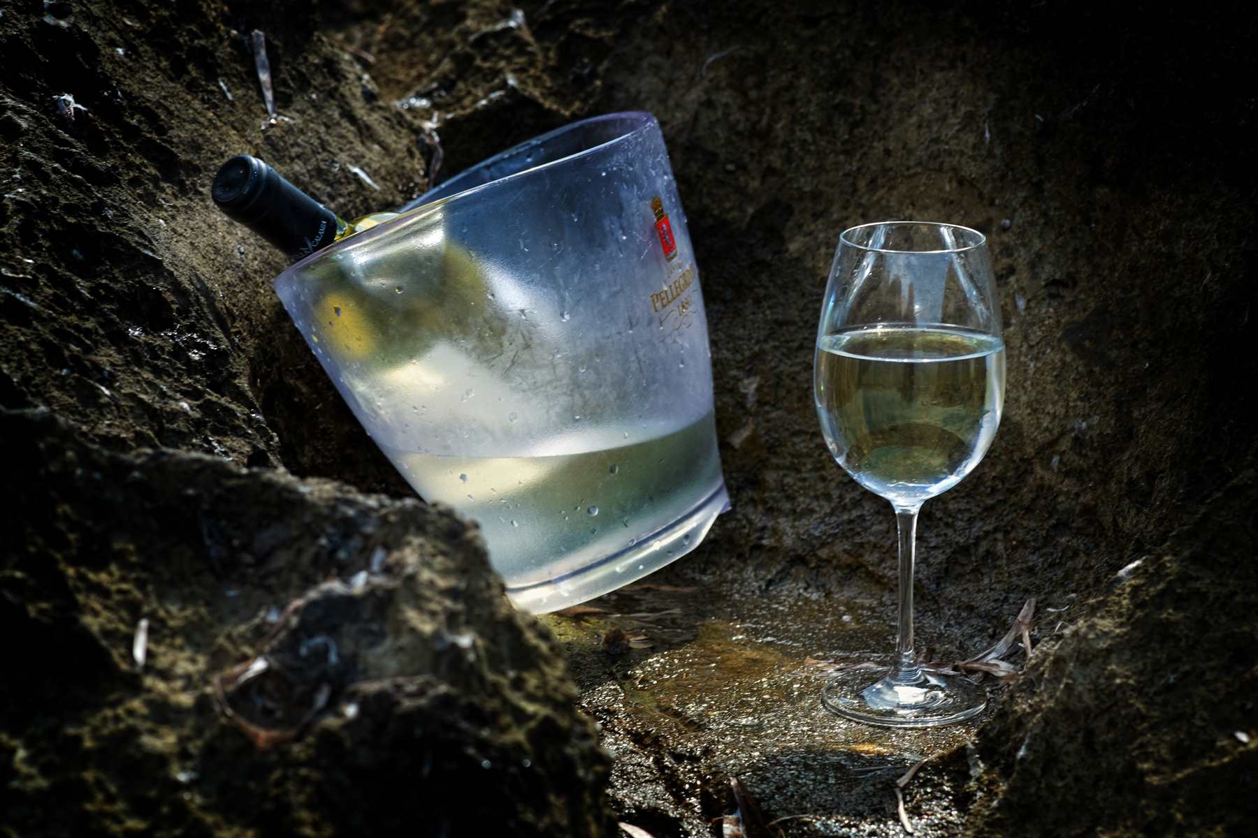 vino bianco